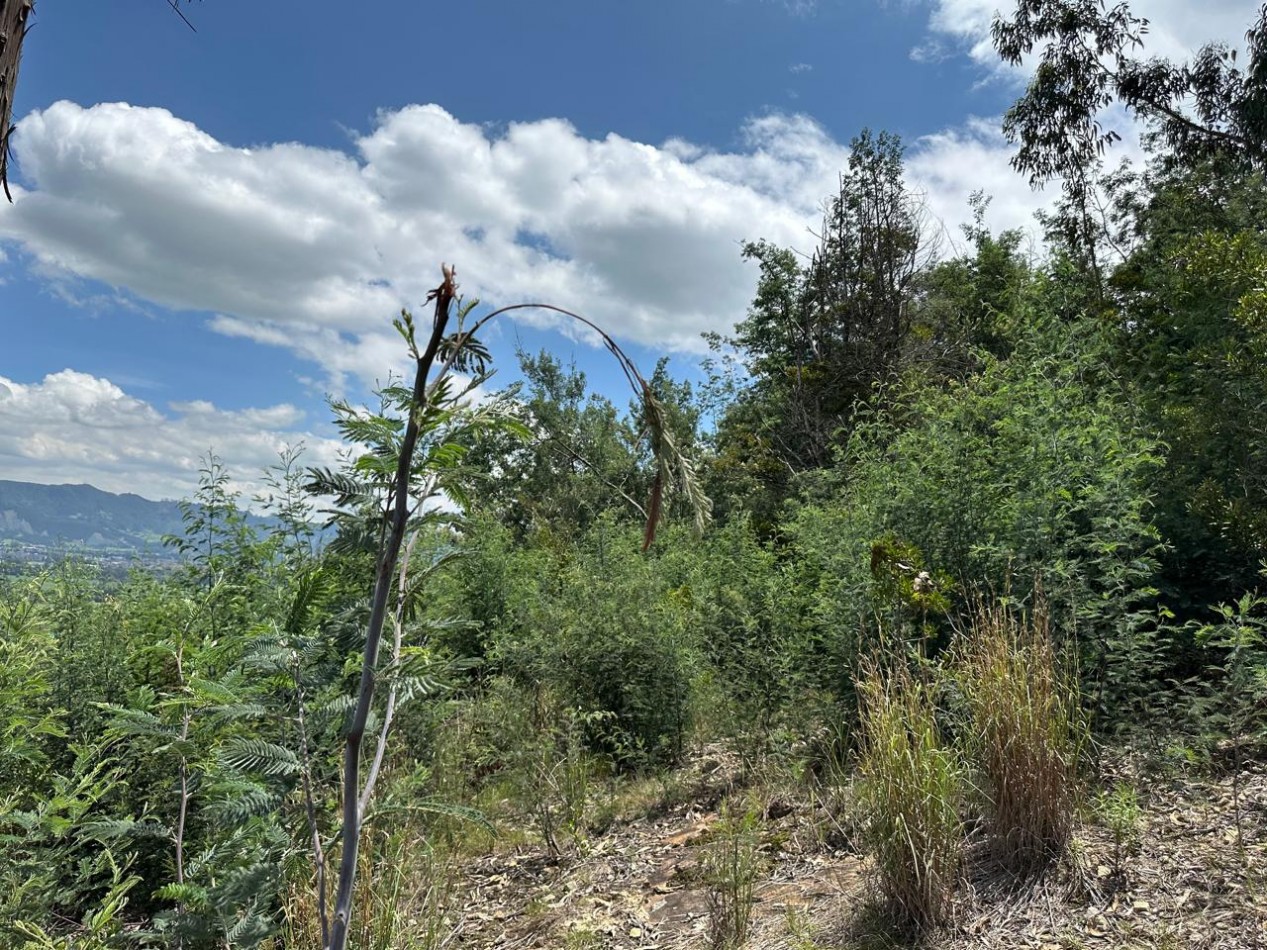 VENDO LOTE ALTOS DE YERBABUENA VISTA A LA SABANA