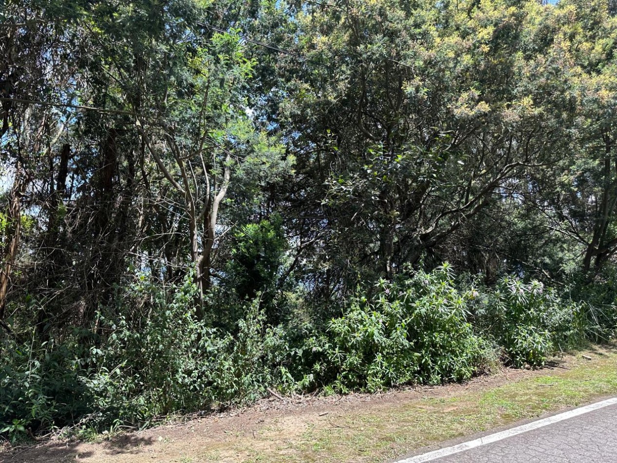 VENDO LOTE ALTOS DE YERBABUENA VISTA A LA SABANA