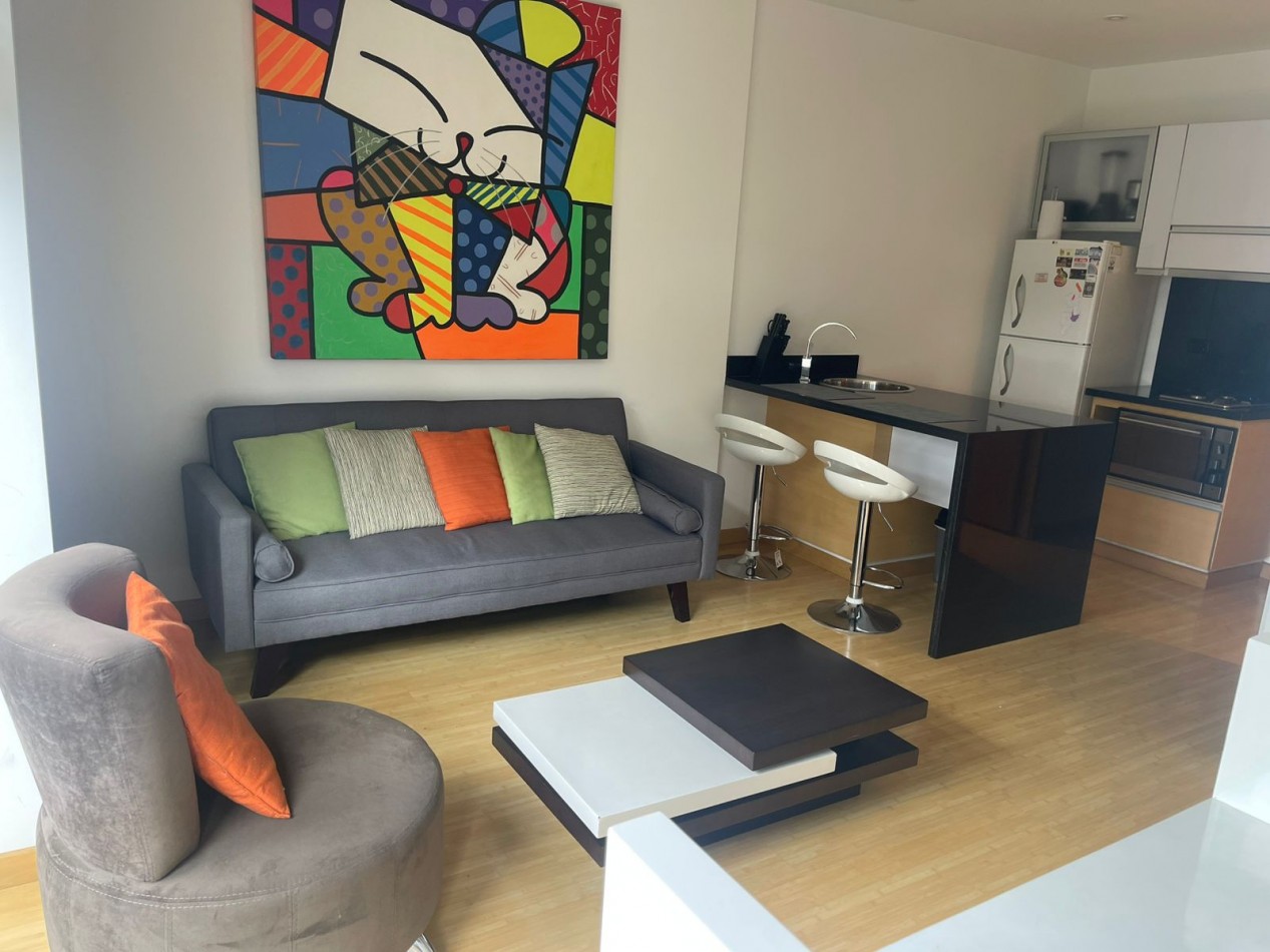 apartestudio  chico navarra 