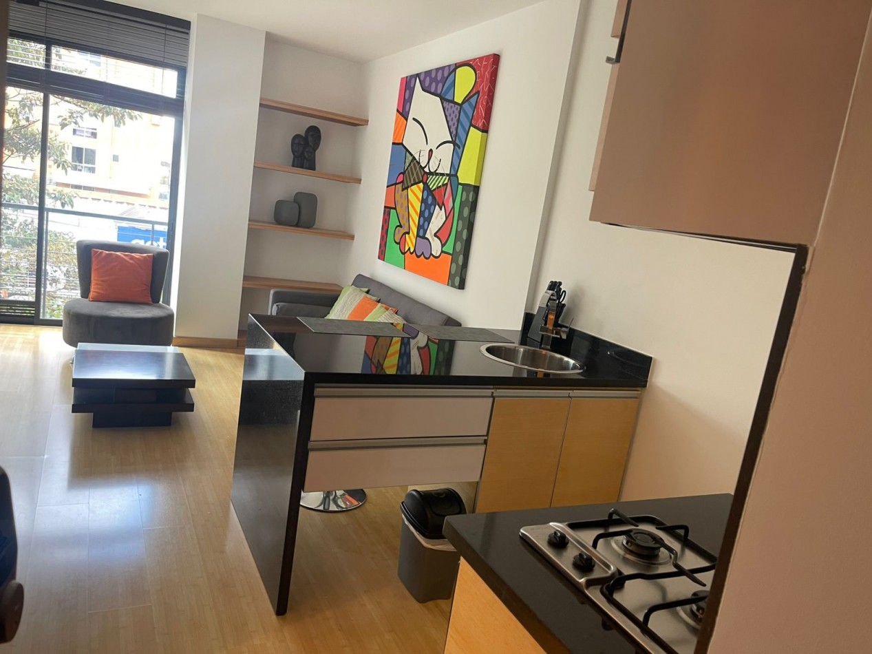 apartestudio  chico navarra 