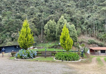 finca